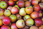 English apples from Buntings food store in Coggeshall, Essex